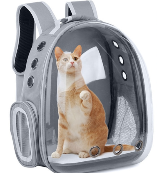 Sacs à dos pour animaux de compagnie pour se promener, faire de la randonnée, voyager.