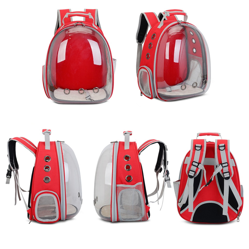 Sacs à dos pour animaux de compagnie pour se promener, faire de la randonnée, voyager.