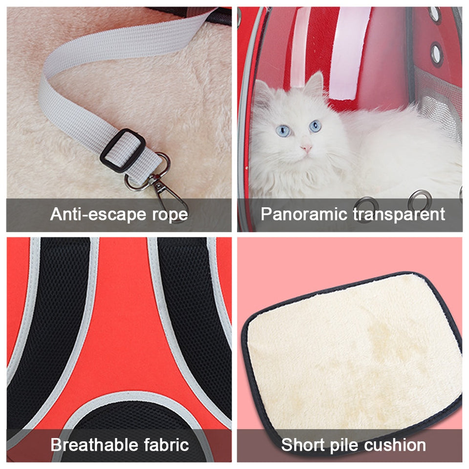 Sacs à dos pour animaux de compagnie pour se promener, faire de la randonnée, voyager.