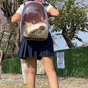 Haustier-Rucksack zum Spazierengehen, Wandern, Reisen.